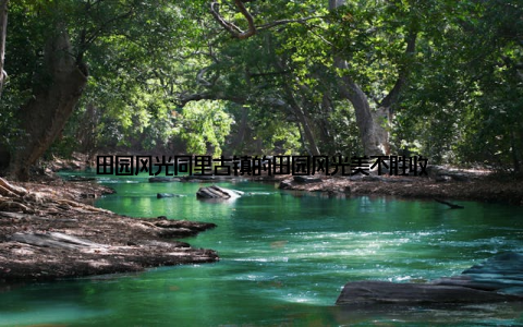 田园风光同里古镇的田园风光美不胜收