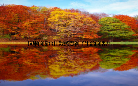 这里的溪水让我感受到了生命的活力