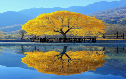 安全保障安全是旅游的重中之重