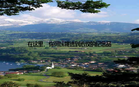 在这里, 你可以挑选到心仪的纪念品