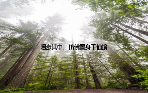 漫步其中, 仿佛置身于仙境