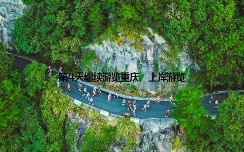 第4天继续游览重庆, 上岸游览