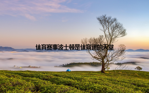 体育赛事波士顿是体育迷的天堂