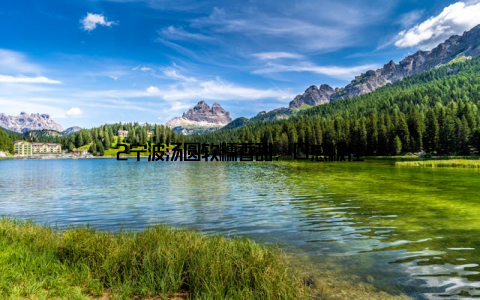 2宁波汤圆软糯香甜, 口感极佳