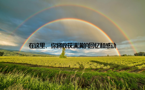 在这里, 你将收获满满的回忆和感动