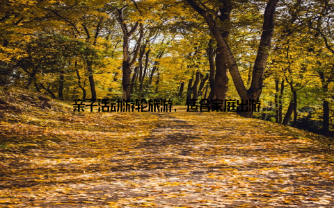 亲子活动游轮旅游, 适合家庭出游