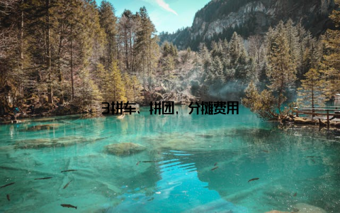 3拼车、拼团, 分摊费用