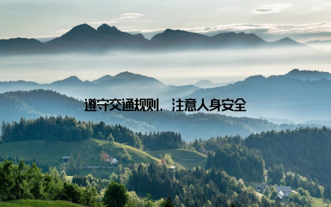 遵守交通规则, 注意人身安全