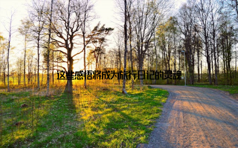 这些感悟将成为旅行日记的灵魂