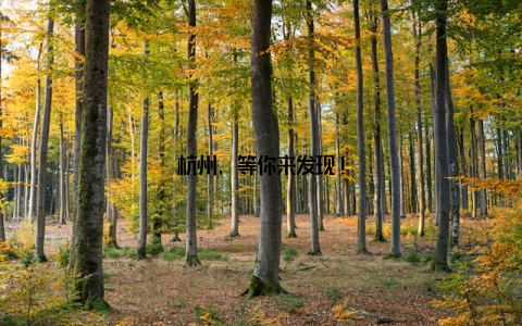 杭州, 等你来发现!