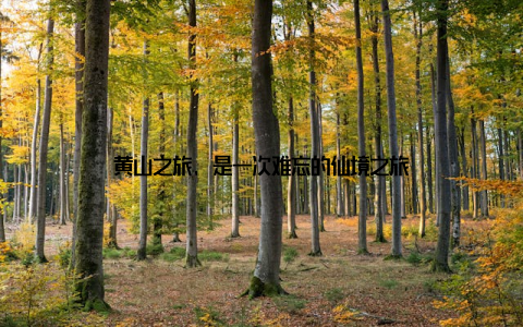 黄山之旅, 是一次难忘的仙境之旅