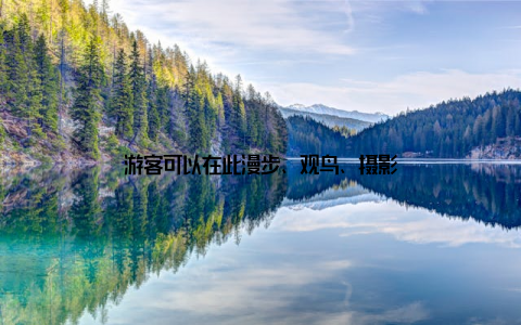 游客可以在此漫步、观鸟、摄影