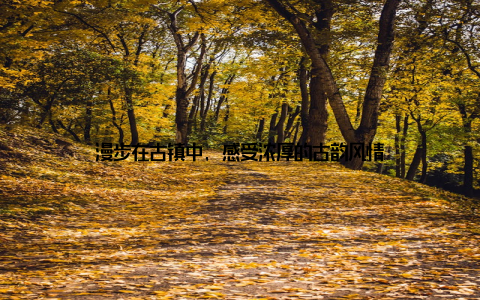 漫步在古镇中, 感受浓厚的古韵风情