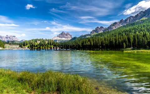 游客可以在这里感受浓厚的文化氛围