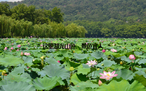 这里湖光山色, 景色宜人