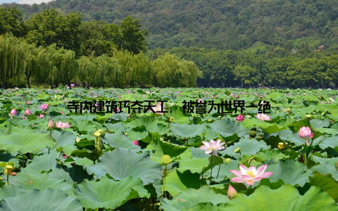寺内建筑巧夺天工, 被誉为世界一绝