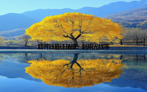 如寻找最佳角度、利用光线等