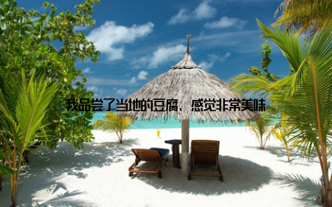 我品尝了当地的豆腐, 感觉非常美味