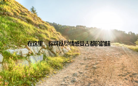 在这里, 你可以尽情感受古都的韵味