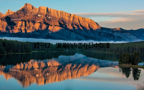 咬一口, 满满的肉香在口中弥漫